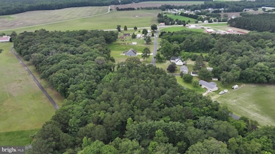 0 Helms Landing Rd, Dagsboro, DE 19939 - photo 6