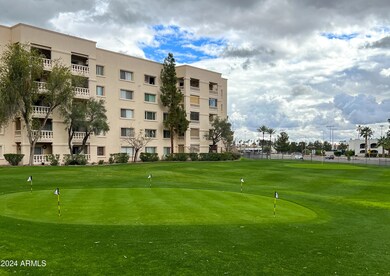 IMG_7256-1
