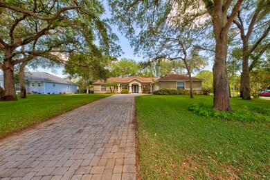 front yard