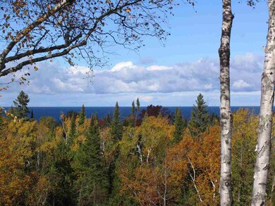 Parcel 16 Summerhill Way unit Summerhill, Hayes Township, MI 49720 - photo 3