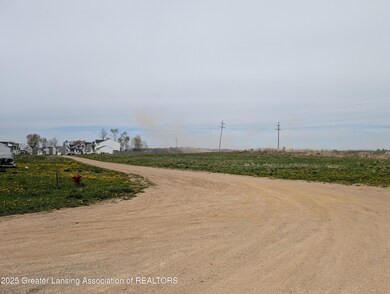 0 Saint Johns Chase, Grand Ledge, MI 48837 - photo 4