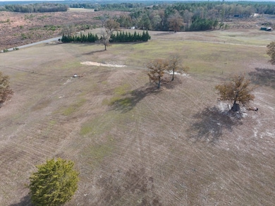 297 Ga Highway 240, Buena Vista, GA 31803 - photo 5