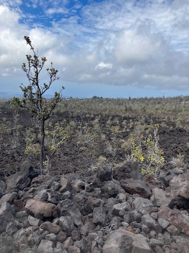 Northwest from top of lot.
