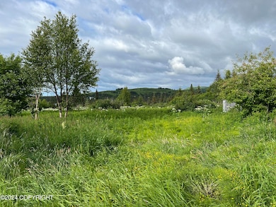 64985 Nikolaevsk Rd, Nikolaevsk, AK 99556 - photo 2