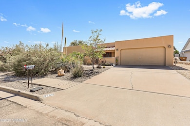 1-web-or-mls-IMG_3565