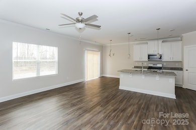 3824 Allenby Place, Unionville, NC 28110 - photo 6