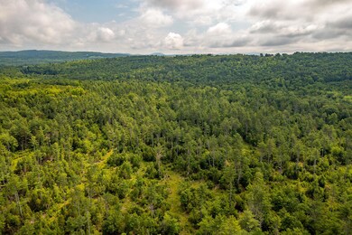 DJI_0571