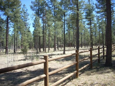 2763 Canyon Ridge Rd  (4)
