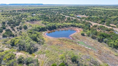 Lot 2 County Road 205, Ovalo, TX 79541 - photo 2