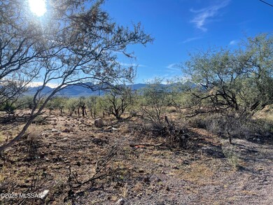 1826 Via Nueva Zelandia unit 49, Rio Rico, AZ 85648 - photo 4