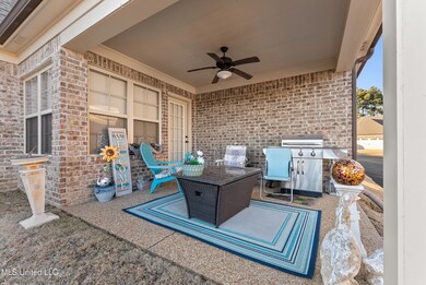 Rear Patio