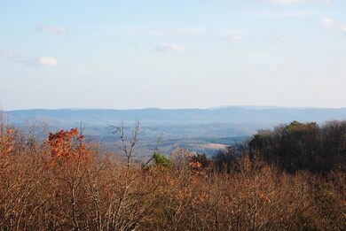 DSC_1225 (1024x685)
