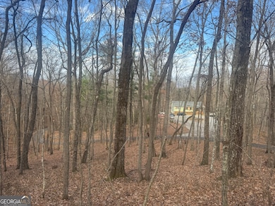 0 Geneva Place unit 10648174, Sautee Nacoochee, GA 30571 - photo 2