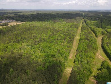 0 Highway 9 unit 1319111, Heflin, AL 36264 - photo 7