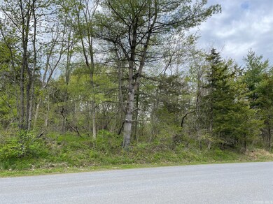 45 Randy Rd, Coxsackie, NY 12015 - photo 3