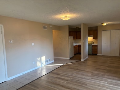 1119 S Curtis Ave unit A1, Kankakee, IL 60901 - photo 4
