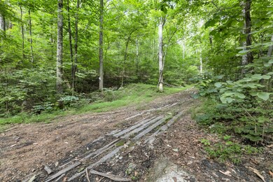 158.37 Acres | Williams Rd