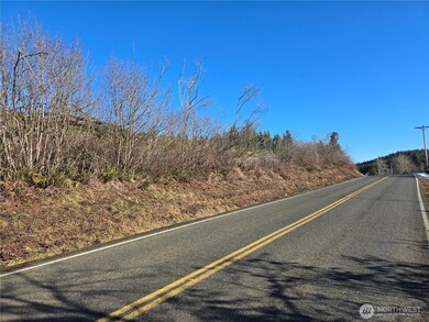 0 Butte Creek Rd, Raymond, WA 98577 - photo 6