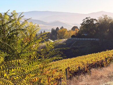 202 Pleasant View, Talent, OR 97540 - photo 7