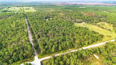 0 Sanctuary Rd unit 225078396, Naples, FL 34120 - photo 3