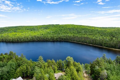 Pond Aerial2