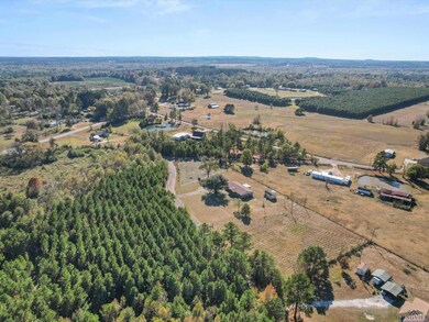 1069 Lilac Ln, Gilmer, TX 75645 - photo 4