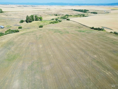 7 Wasem Rd, Grangeville, ID 83530 - photo 4