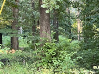 Mature trees