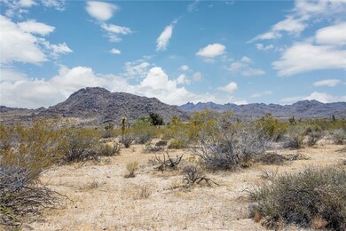 4444 Skyline Dr, Joshua Tree, CA 92252 - photo 2