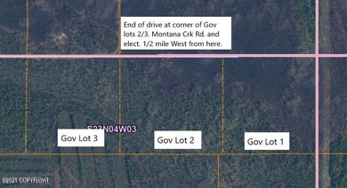 GOV S Leroy Davies Rd, Talkeetna, AK 99676 - photo 6