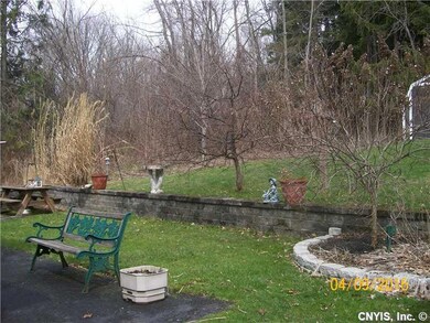 Backyard.