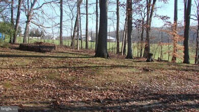 7211 Marriottsville Rd, Marriottsville, MD 21104 - photo 6