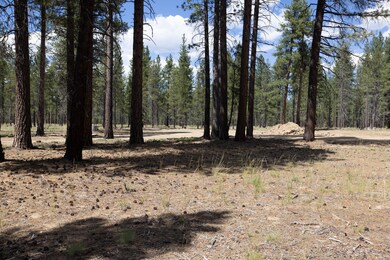 Caldera Springs Lot 430 -3