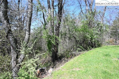 15 River Bend Hills Rd, Crumpler, NC 28617 - photo 3