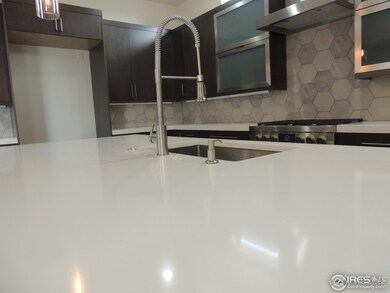 Designer Faucet