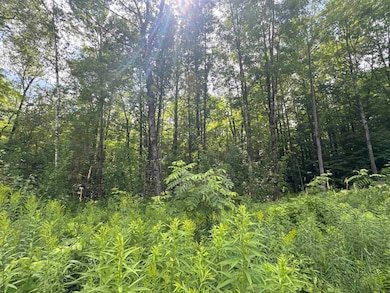 95 Barrywilde Rd, Sheldon, VT 05455 - photo 2