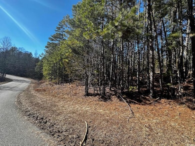 Lot 108 Cobalt Bay Dr, Shirley, AR 72153 - photo 2