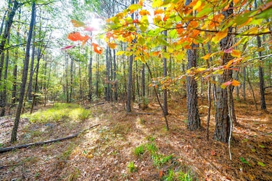 Undefined Scott Rd, Ellerslie, GA 31807 - photo 3