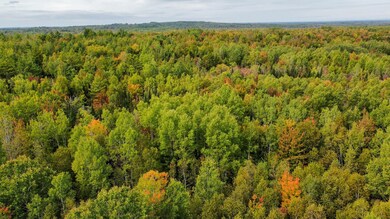 Lot 26 Wolf Run Trail, Greenbush, ME 04418 - photo 6