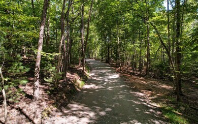 Additional View