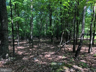 23 High Mountain View Rd, Three Chrs, WV 26757 - photo 5