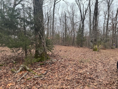 Lot 1 Waterfront 1, Shell Knob, MO 65747 - photo 2