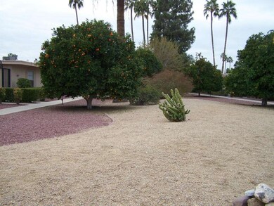 17207 N 107th Ave unit 39, Sun City, AZ 85373 - photo 5