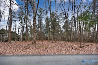 13300 S Village Square Rd SE, Huntsville, AL 35803 - photo 5