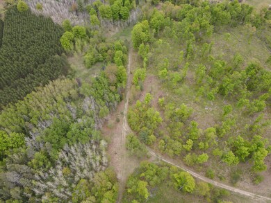 Aerial View 5