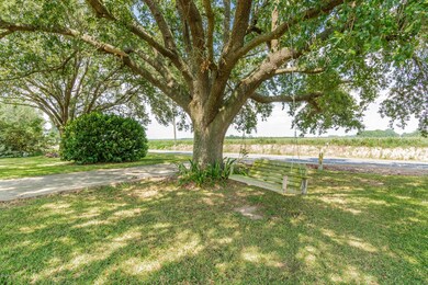 2783 Charlene Hwy, Eunice, LA 70535 - photo 5