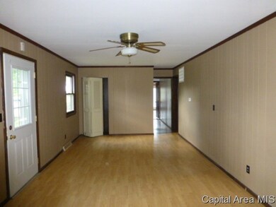 244 N Pitt St, Virginia, IL 62691 - photo 3