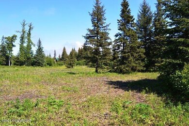Open Level Lot