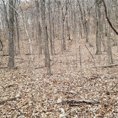 0 23 89 Ac Cr 4099 unit 1107420, Crosses, AR 72727 - photo 4