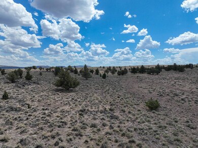 TL 500 Sheep Lake Rd, Riley, OR 97758 - photo 6